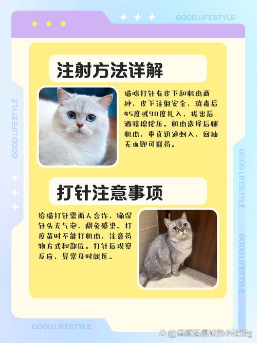 猫咪打疫苗前注意事项