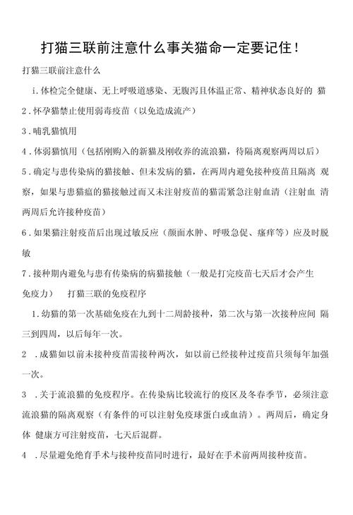 带猫咪打疫苗需要注意什么呢?