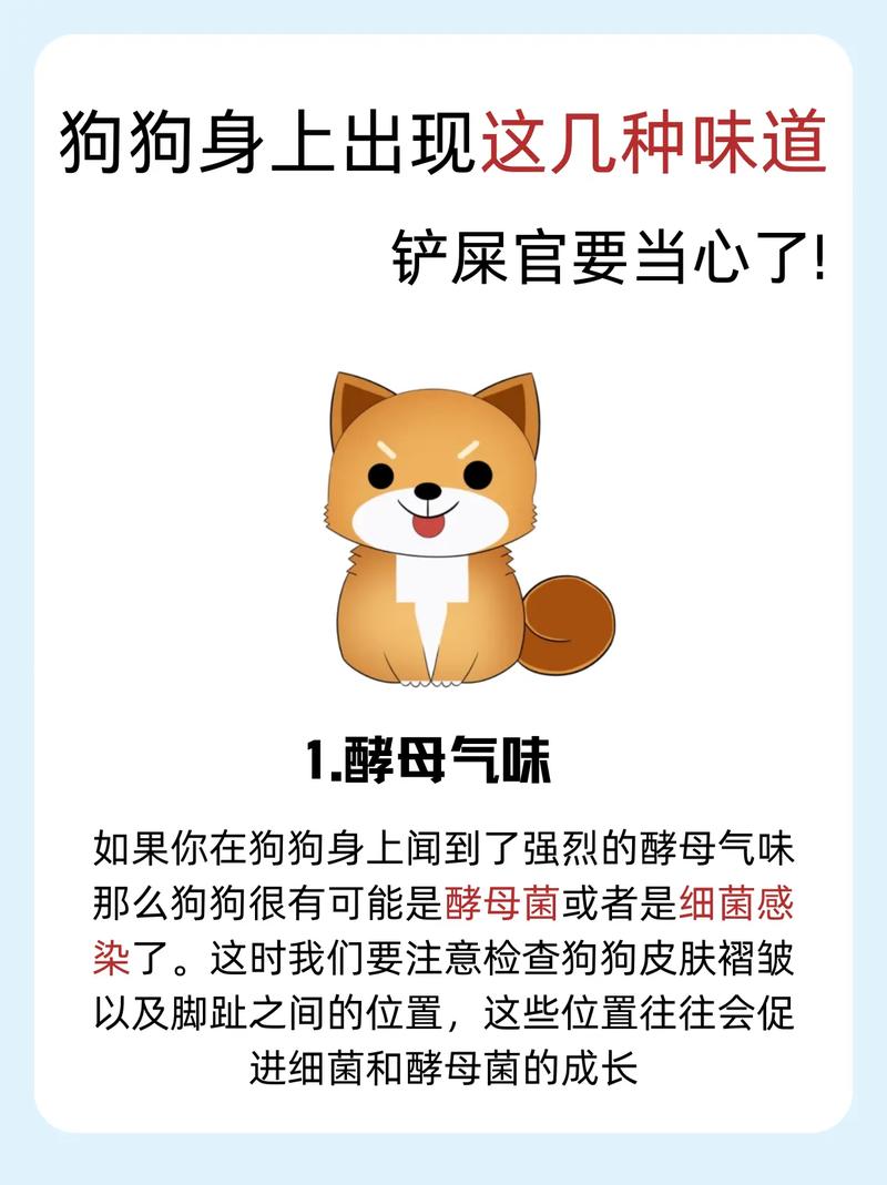 老狗狗身上发出刺鼻的味道?
