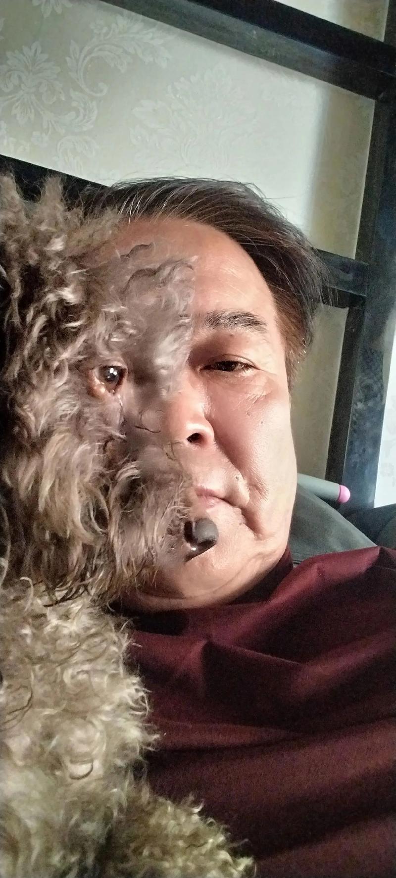 狗狗身上有异味,而且是从耳朵散发出来的,该怎么办?