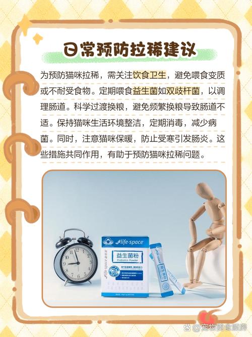 猫咪拉稀检查了什么都没有怎么办