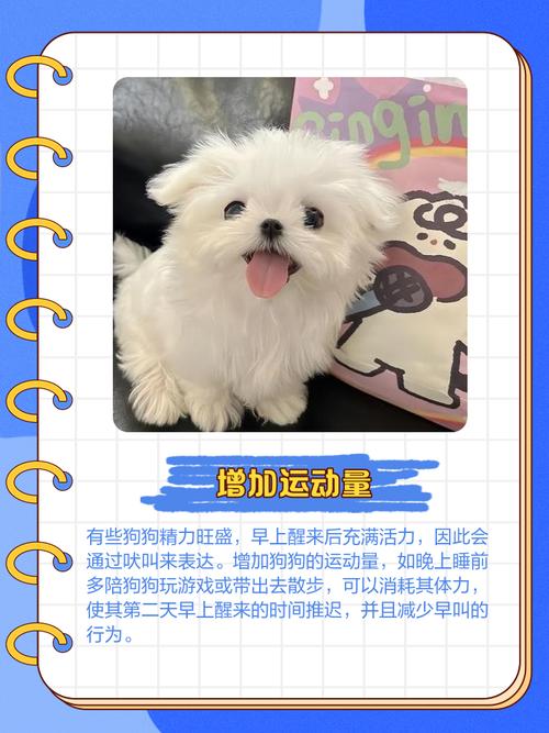 狗狗老是夜里叫怎么办啊