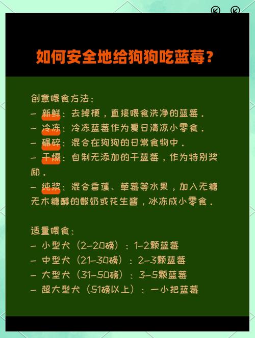 狗吃蓝莓有什么好处