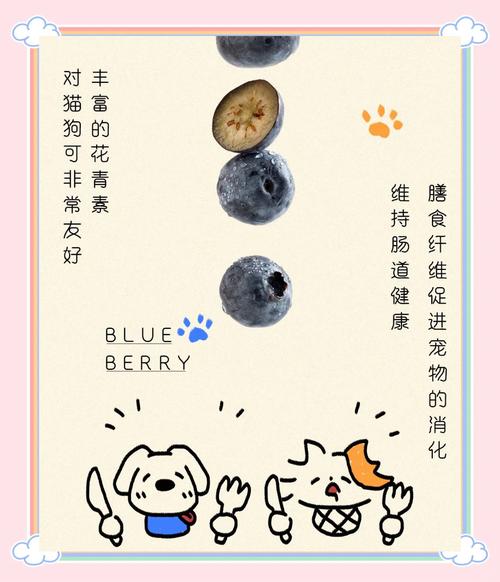 狗狗为什么要吃蓝莓干