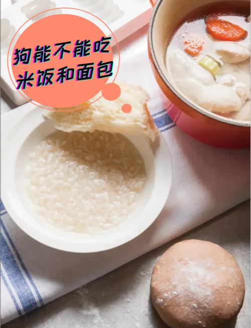 狗狗喝白粥有什么好处?