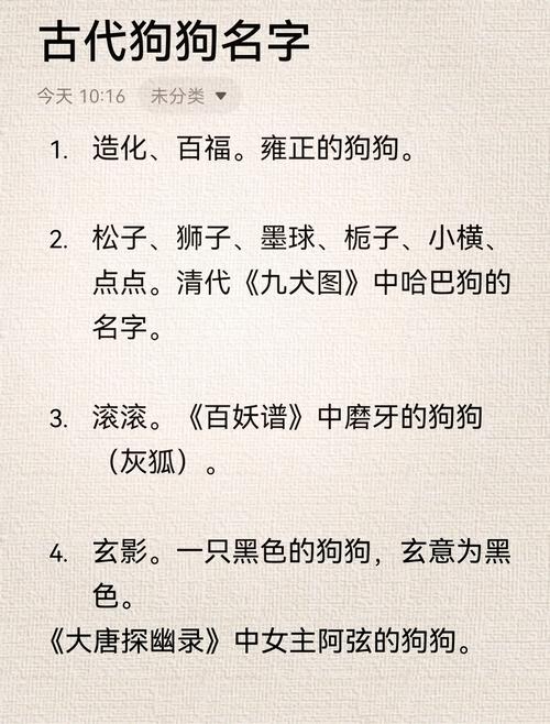 招财又吉利的狗狗名字
