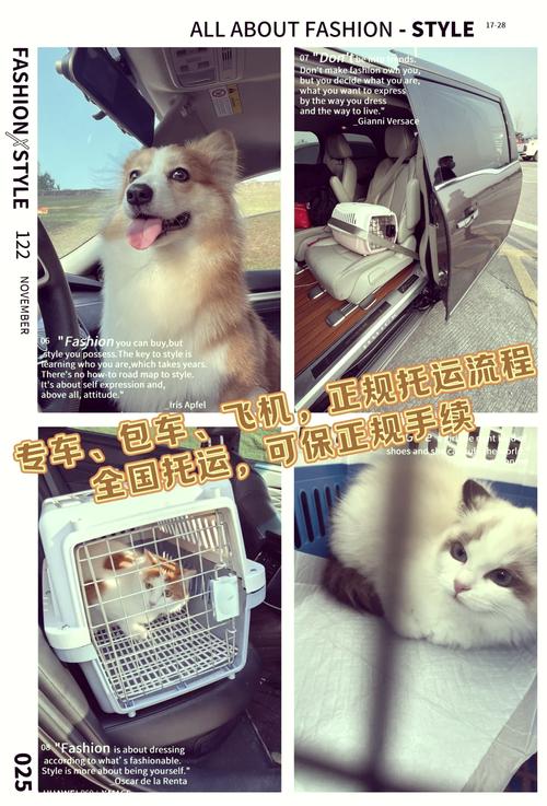 狗狗可以用顺丰快递寄吗,我只知道空运的。费用很高?