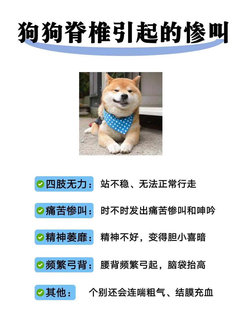 狗狗为什么坐着老是发抖