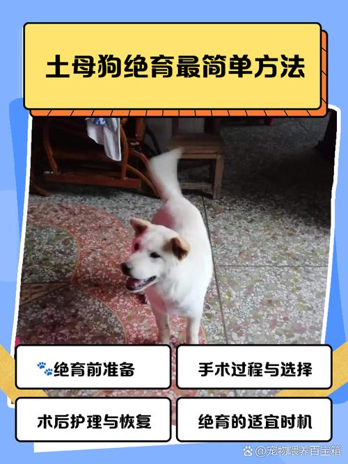 狗狗多久可以做绝育?