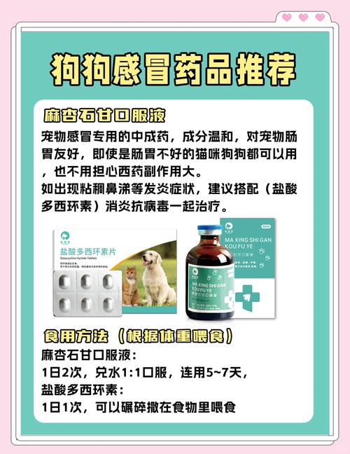 狗感冒打喷嚏鼻子干吃什么药