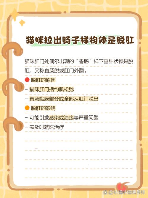 猫拉屎拉出虫子会怎么?