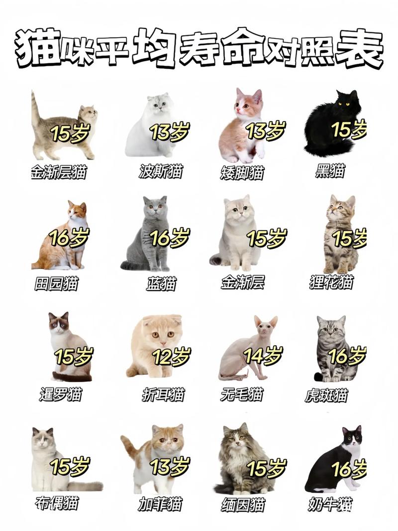 普通家猫的寿命有多长?我家的猫养了5年多了,是否算老猫了?我害怕有[One]、..