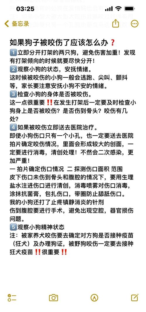 狗狗被咬了怎么处理
