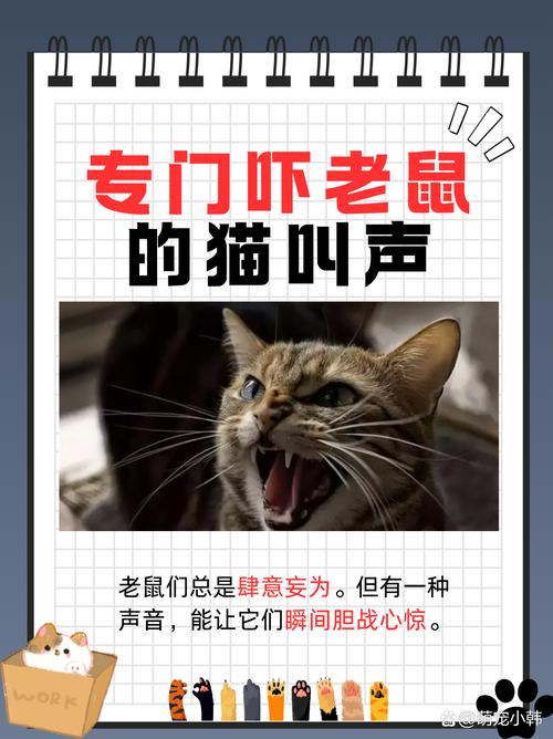 猫最怕的声音