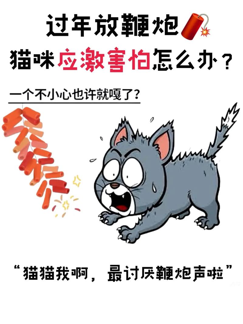 专门吓猫的声音