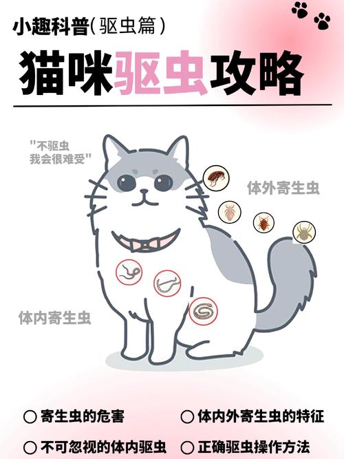 阿苯达唑片驱虫的正确方法是怎样的?