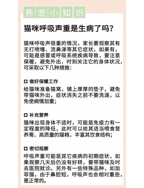 猫咪呼吸厉害声音很大怎么回事