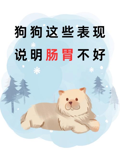 狗狗不舒服表现的睡姿