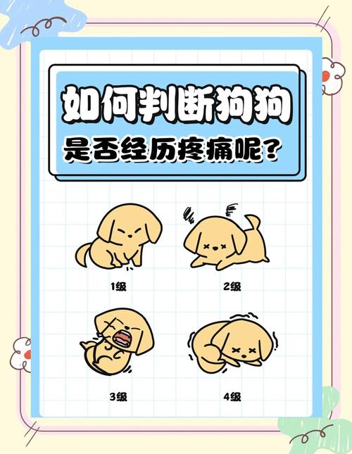 狗狗胃不舒服的姿势