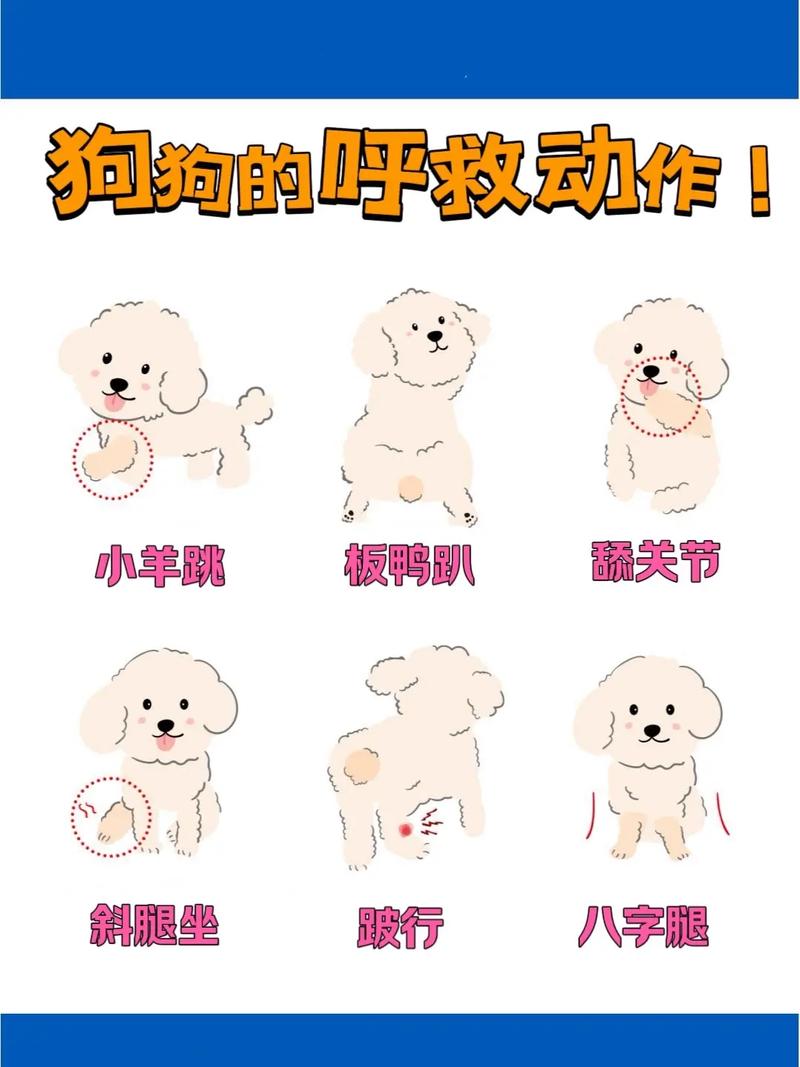 狗狗不舒服的表现有什么