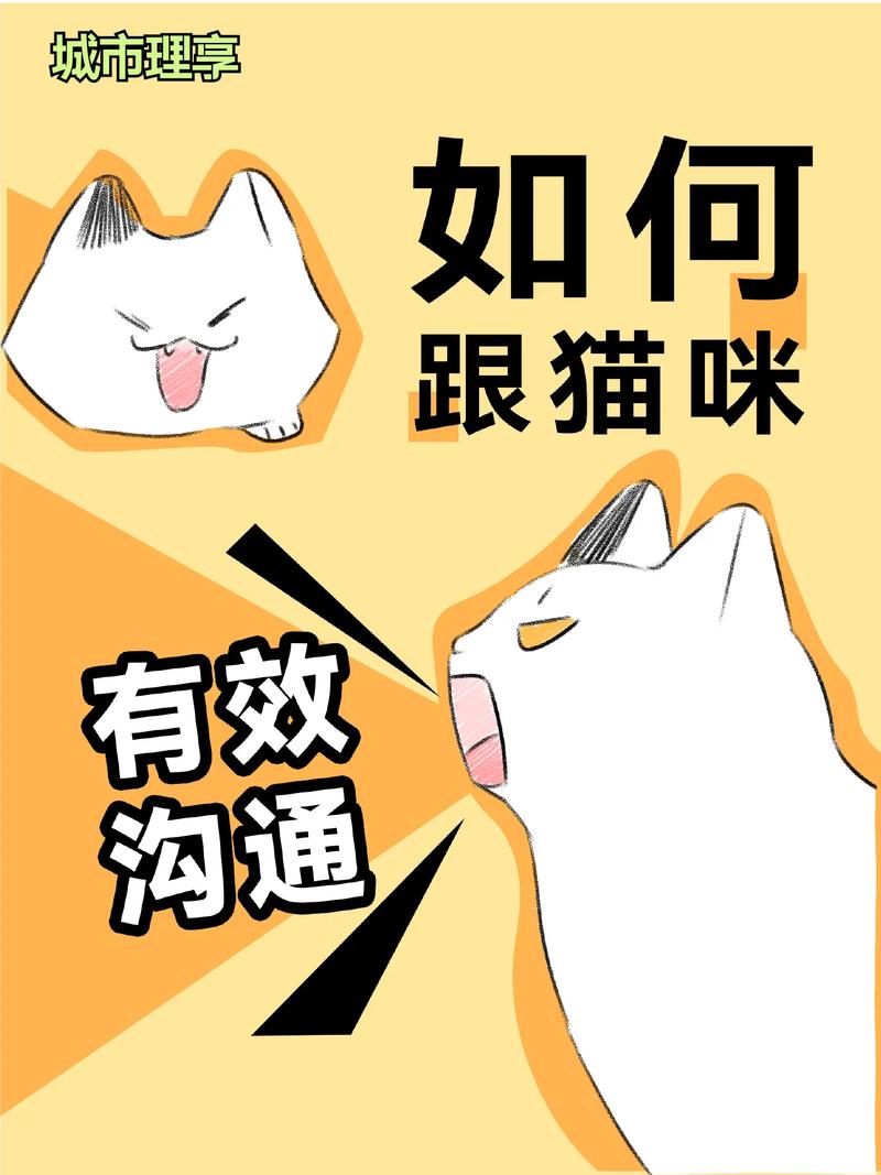 怎么和猫咪交流
