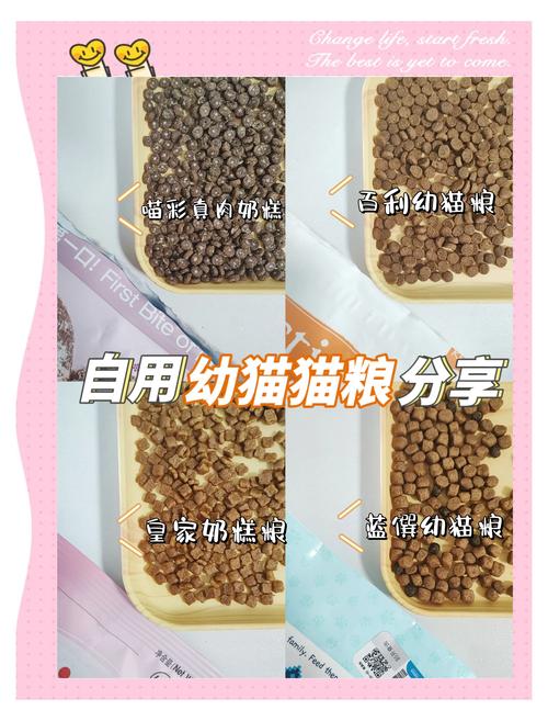 哪种幼猫猫粮好