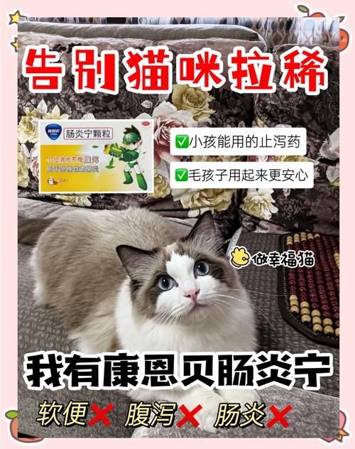 母猫拉肚子吃什么药
