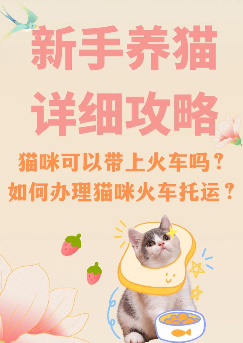 怎样才能安全的把猫咪带上火车/动车/高铁?