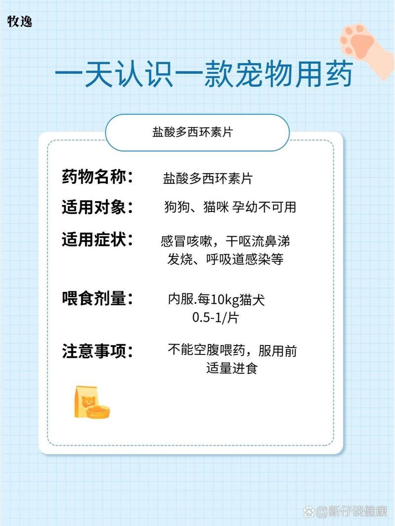 狗狗吃阿奇霉素吃多少
