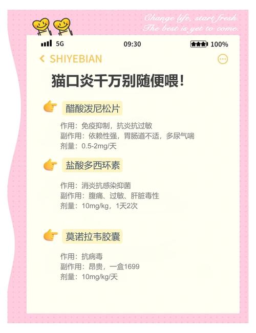 猫咪得口炎不肯喝药该怎么办?