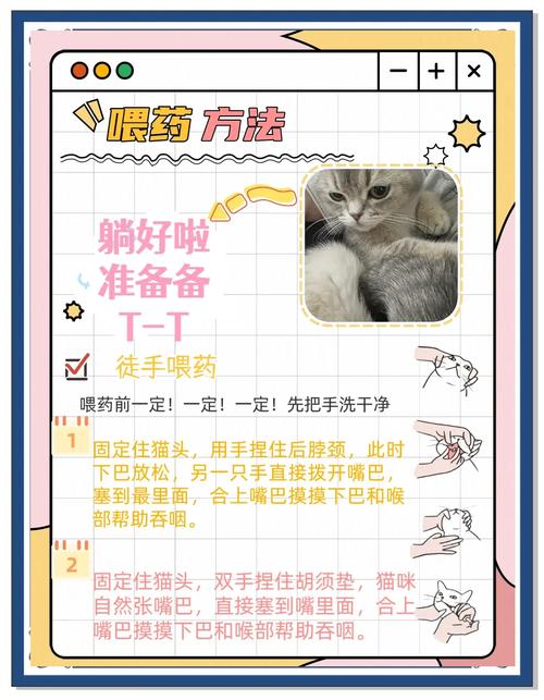 猫咪不喝药,该怎么喂才有效?
