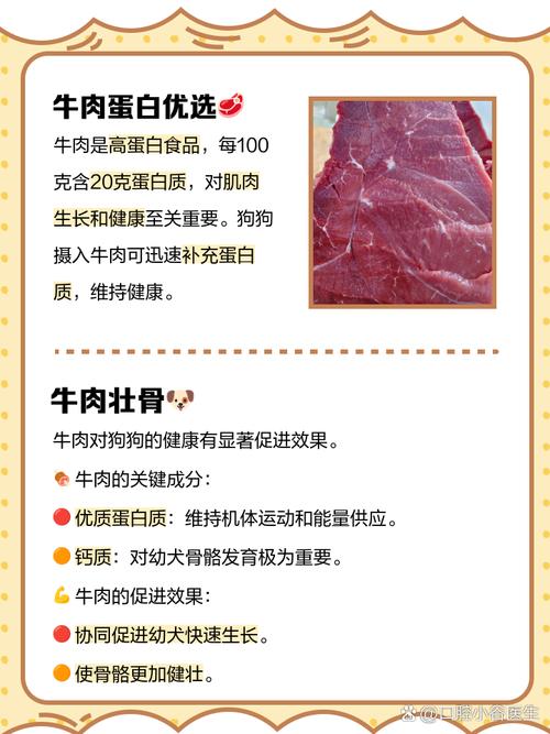 我的狗喜欢吃烧烤,如何制止呢?