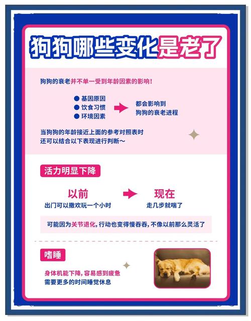 狗老换主人会怎么样?