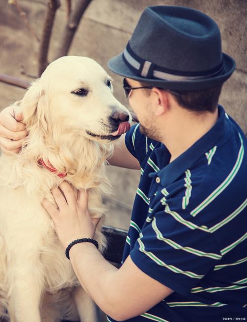 狗狗换主人会忘掉原主吗?