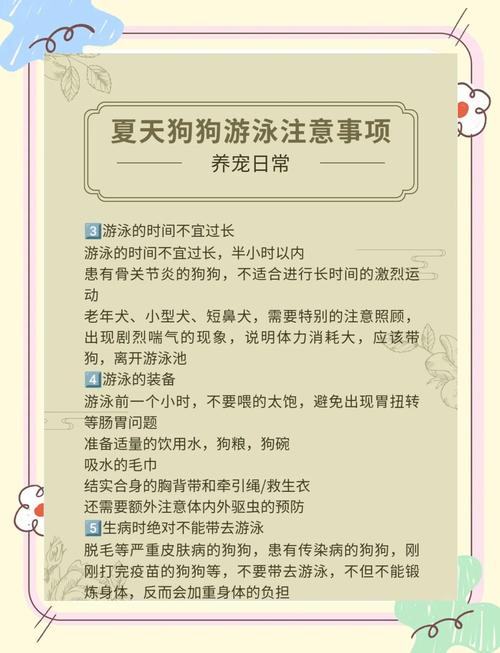 狗狗为什么冲进海里游泳