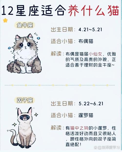 十二星座的女生更适合养猫还是狗