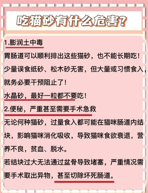 猫咪为什么会吃猫砂?