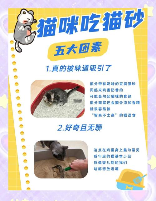 猫突然吃猫砂是什么原因?