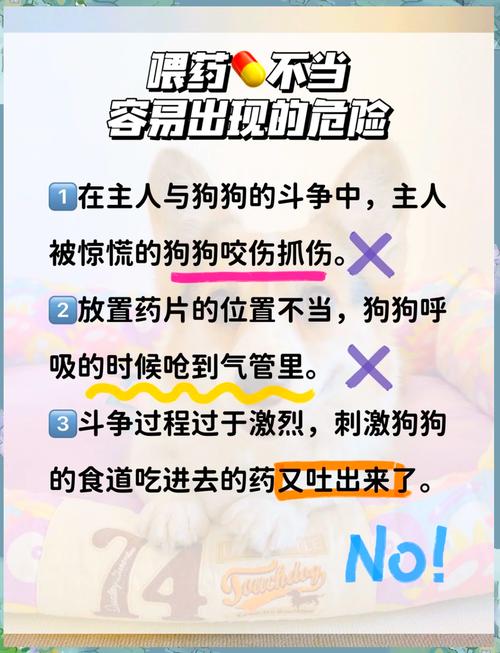 让狗狗乖乖吃药?可以按照以下几方面来做。