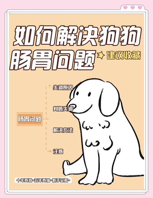 狗狗的肠胃不太好可以怎样调理啊?