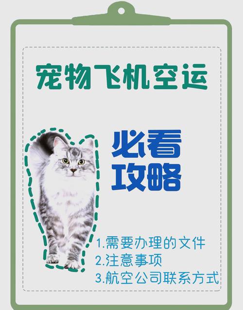 狗狗坐飞机怎么收费