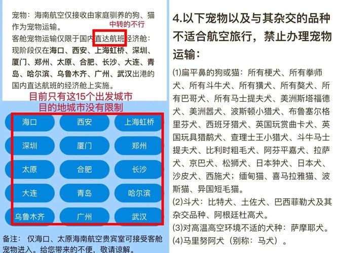 狗狗可以坐飞机吗