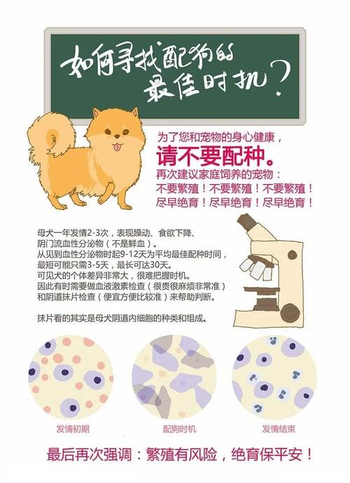 小狗交配一次需要多长时间