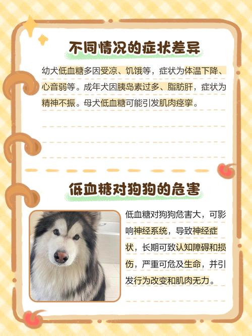 小狗低血糖的表现是什么