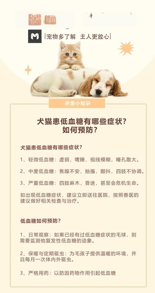 狗狗心脏病低血糖症状有哪些