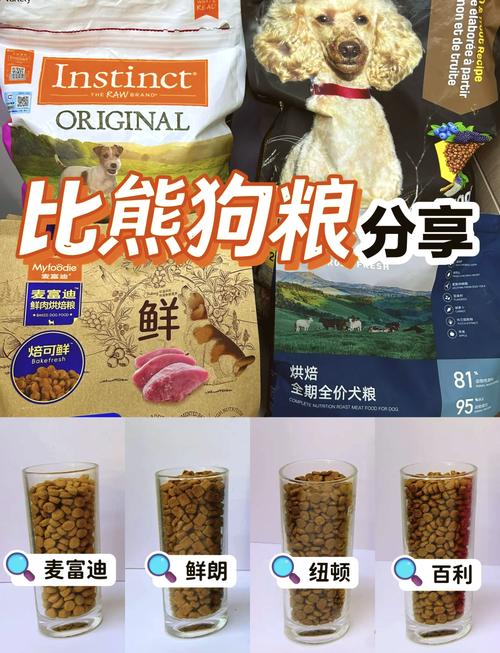 比熊多大不用泡狗粮