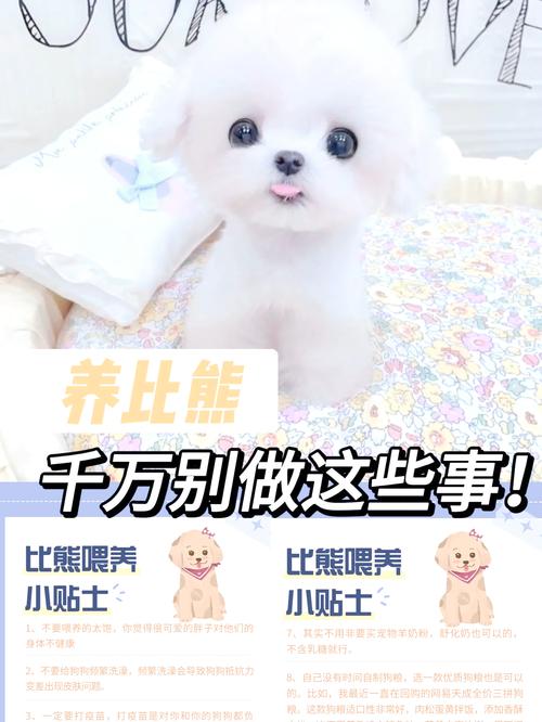 狗狗几个月狗粮不用水泡了再吃?