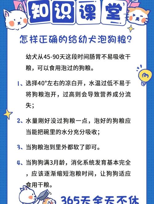 狗狗多大的时候吃狗粮不用泡啊?