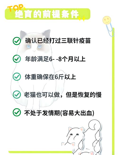 猫猫绝育三天后走路还是不稳,像失去了平衡能力,是怎么回事?