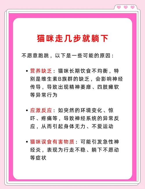 猫猫绝育手术什么意思一直听很多人说猫要做绝育手术?